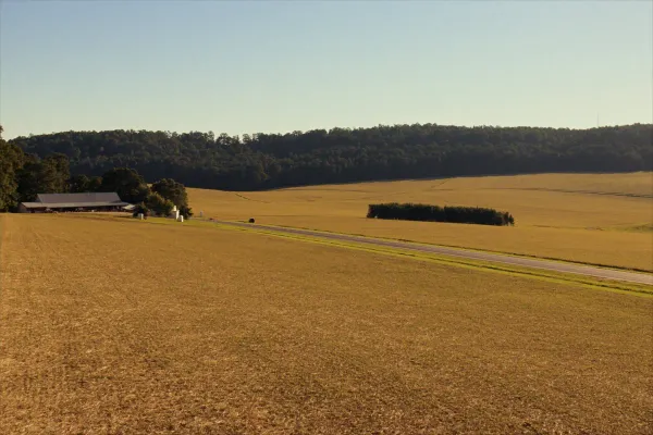 Cotton and soybean fields with a post-frame home north of Huntsville in Madison County, Alabama