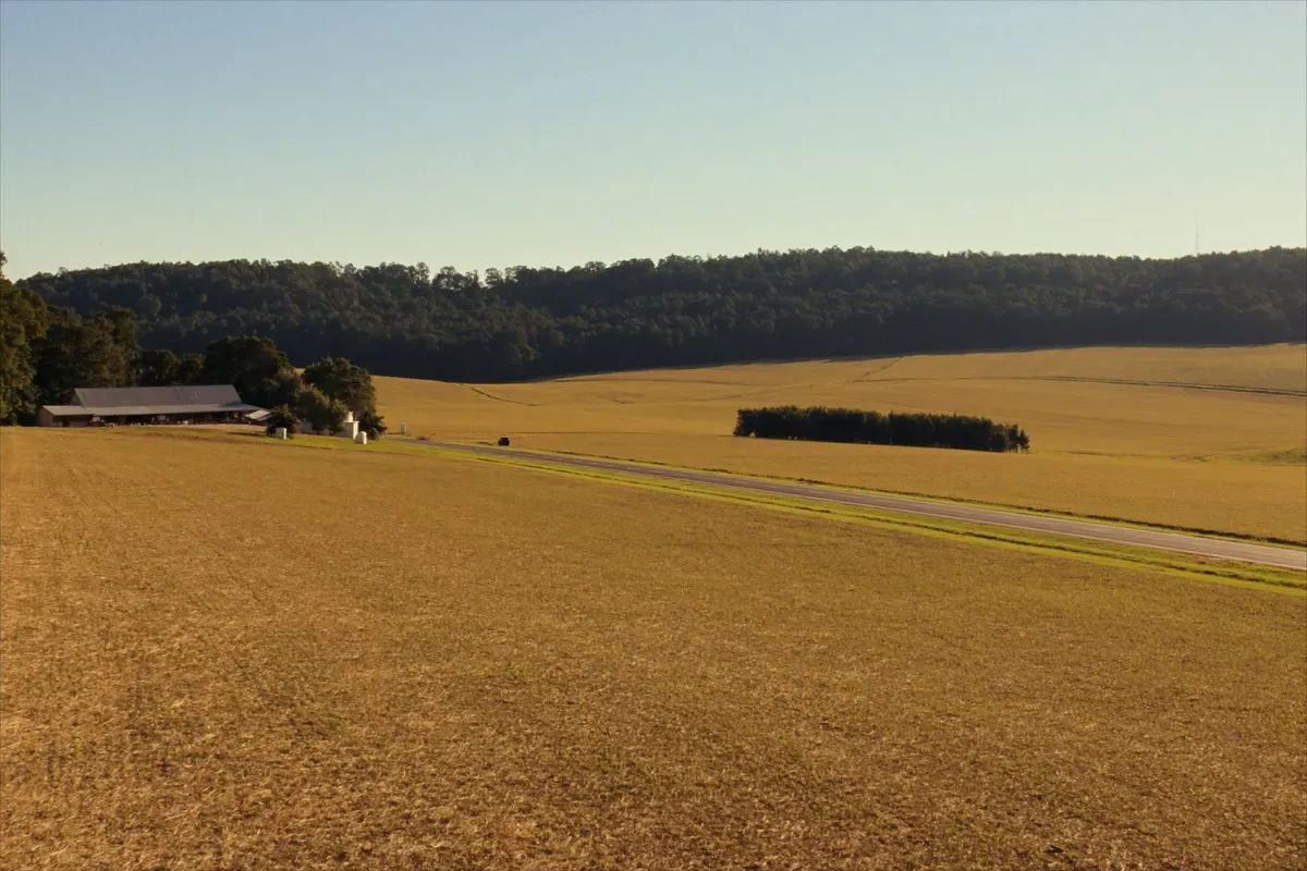 Cotton and soybean fields with a post-frame home north of Huntsville in Madison County, Alabama