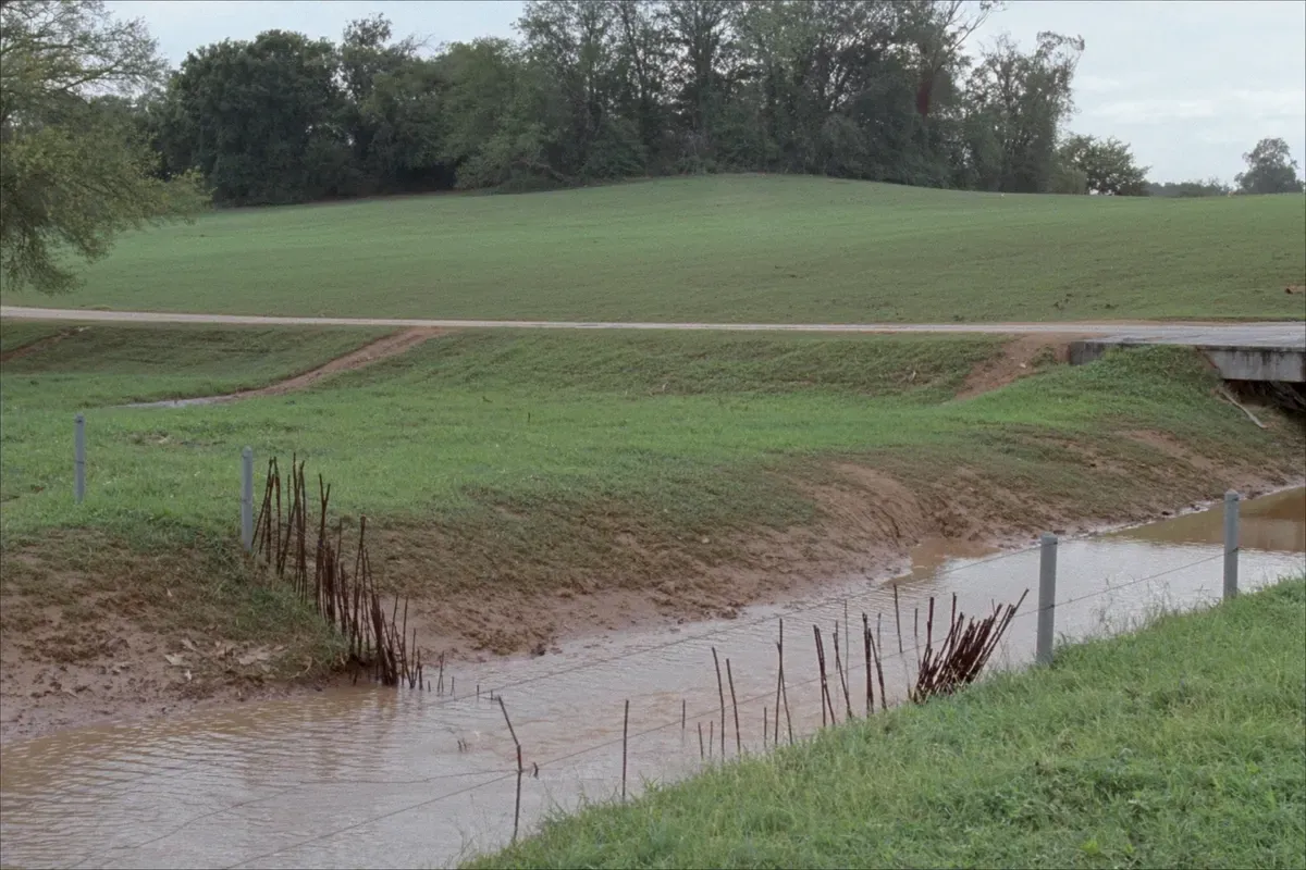 Creek bottom pasture in North Alabama with high muddy water spreading across the low ground after rain